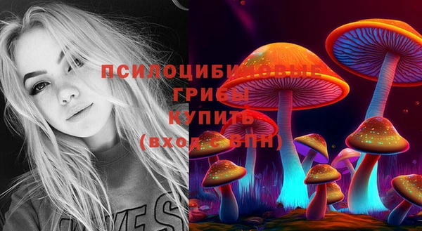 а пвп мука Алзамай