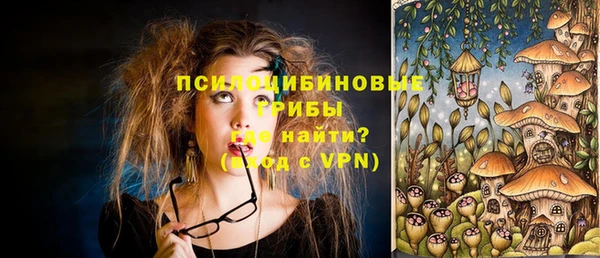 а пвп мука Алзамай