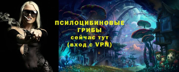 индика Абдулино