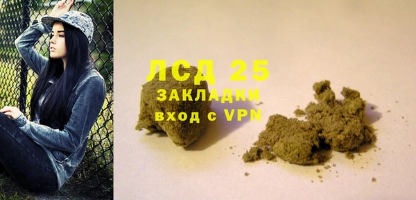 шишки Абаза