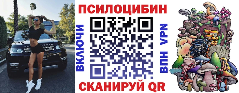 даркнет сайт Цимлянск Псилоцибиновые грибы GOLDEN TEACHER